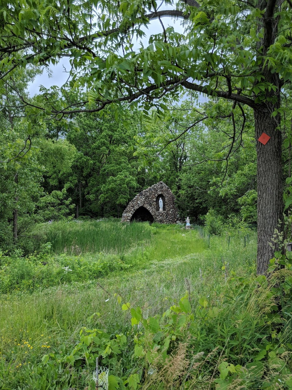 Stella Niagara Preserve | 4214-4448 Lower River Rd, Lewiston, NY 14092, USA | Phone: (716) 687-1225