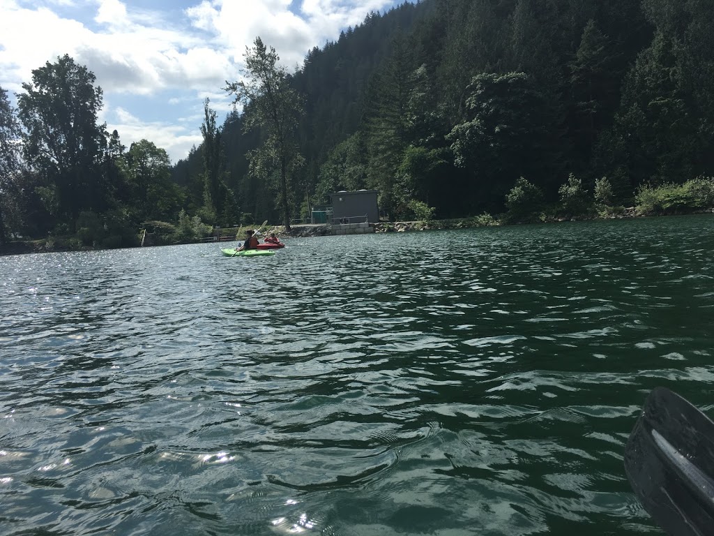 Harrison Eco Tours | 100 Esplanade, Harrison Hot Springs, BC V0M 1K0, Canada | Phone: (604) 316-4460