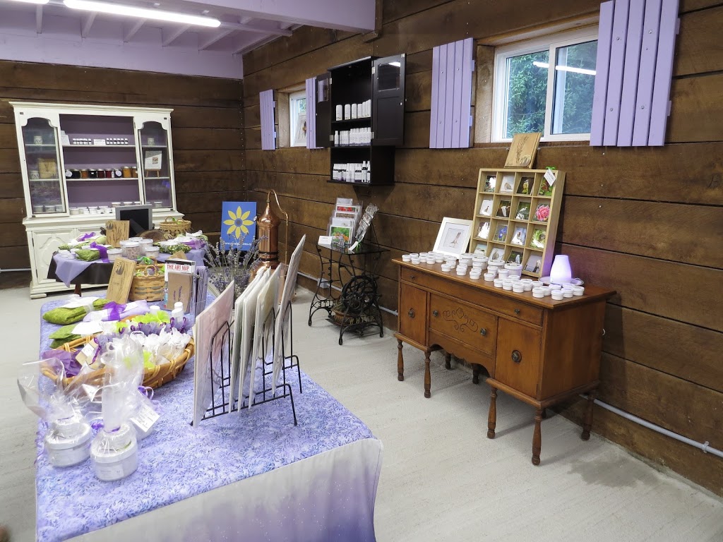 Essentially Lavender | 1379 Concession 10, Formosa, ON N0G 1W0, Canada | Phone: (519) 722-9324