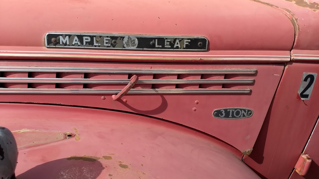 Deol Auto Services Ltd. | 9175 31 Ave NW, Edmonton, AB T6N 1E9, Canada | Phone: (780) 435-9991