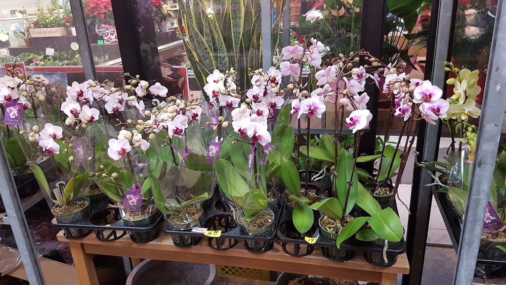 Southland Farm Market | 3008 W 41st Ave, Vancouver, BC V6N 3C9, Canada | Phone: (604) 264-0112