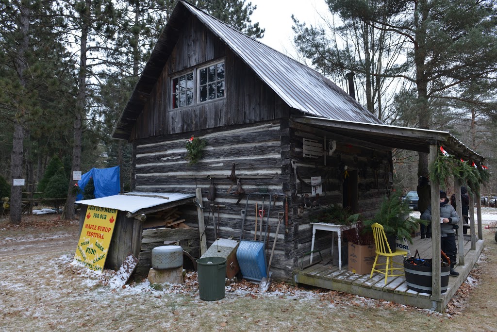 Horton Tree Farm | 5859 Slaters Rd, Gormley, ON L0H 1G0, Canada