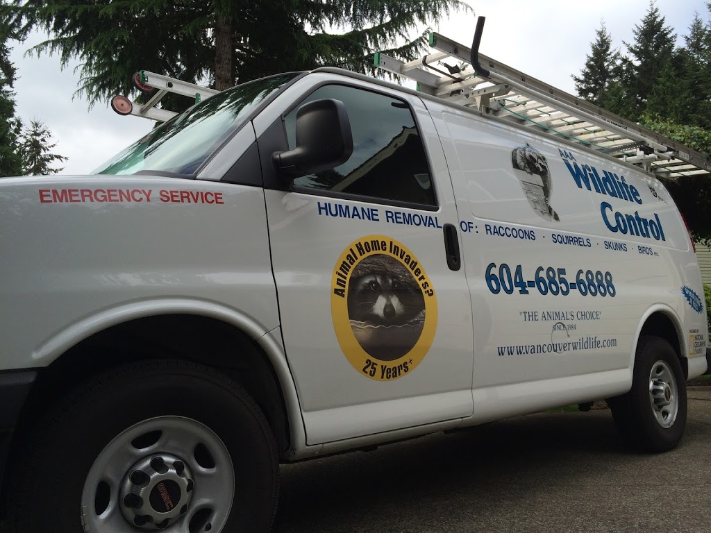 AAA Wildlife Control | 7228 Winston St, Burnaby, BC V5A 2G9, Canada | Phone: (604) 685-6888
