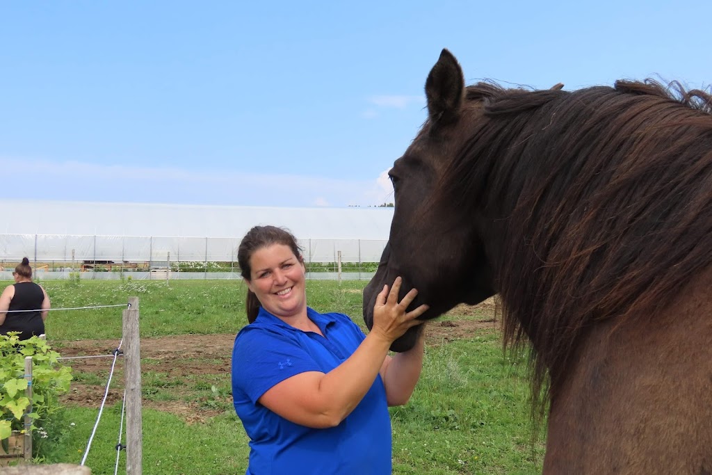LaVoie du cheval | 90 2 Rang E, Trois-Pistoles, QC G0L 4K0, Canada | Phone: (450) 302-9729