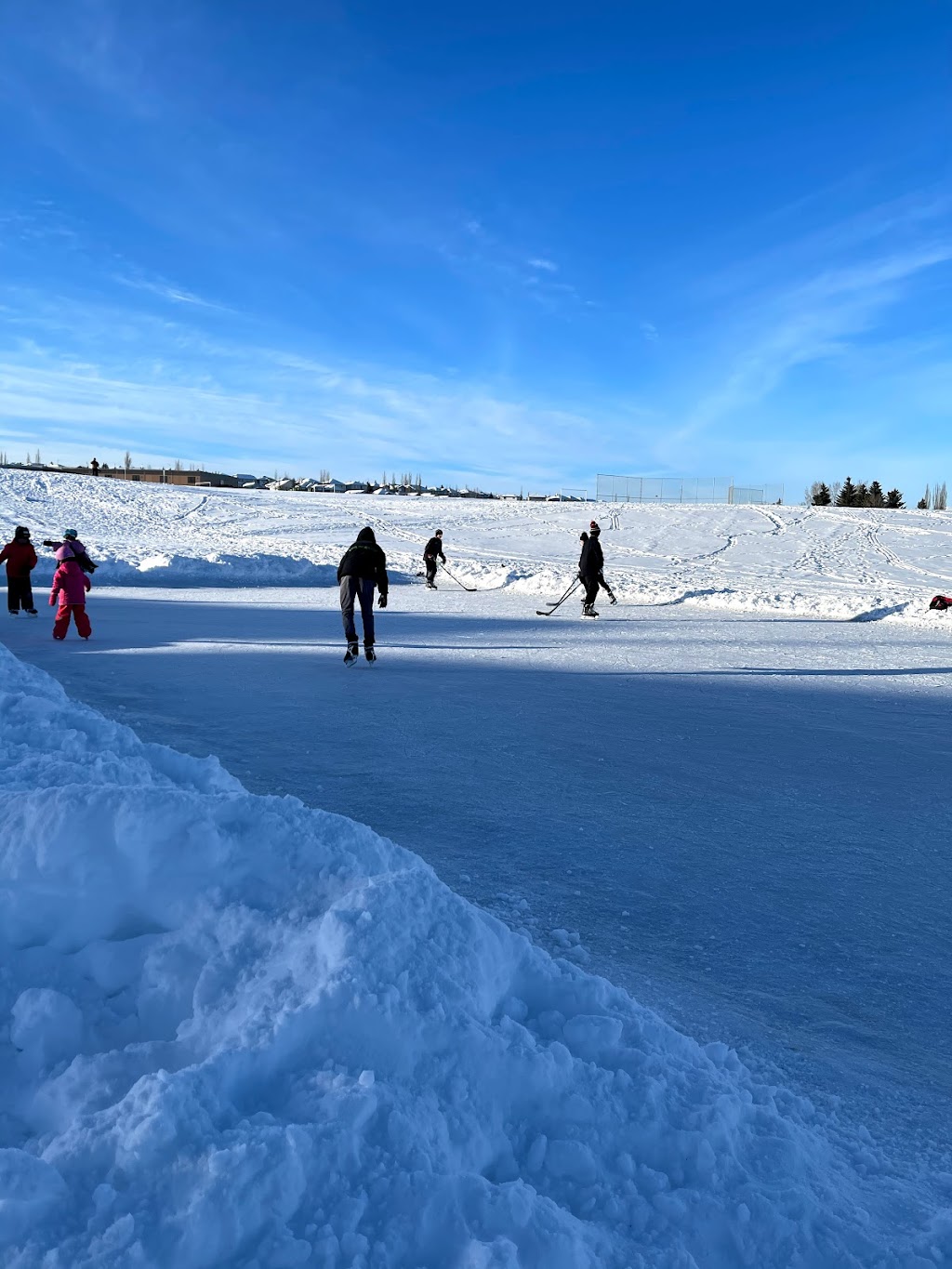NHCA Harvest Ice Rink | 520 Harvest Lake Dr NE, Calgary, AB T3K 4C3, Canada | Phone: (403) 226-6422