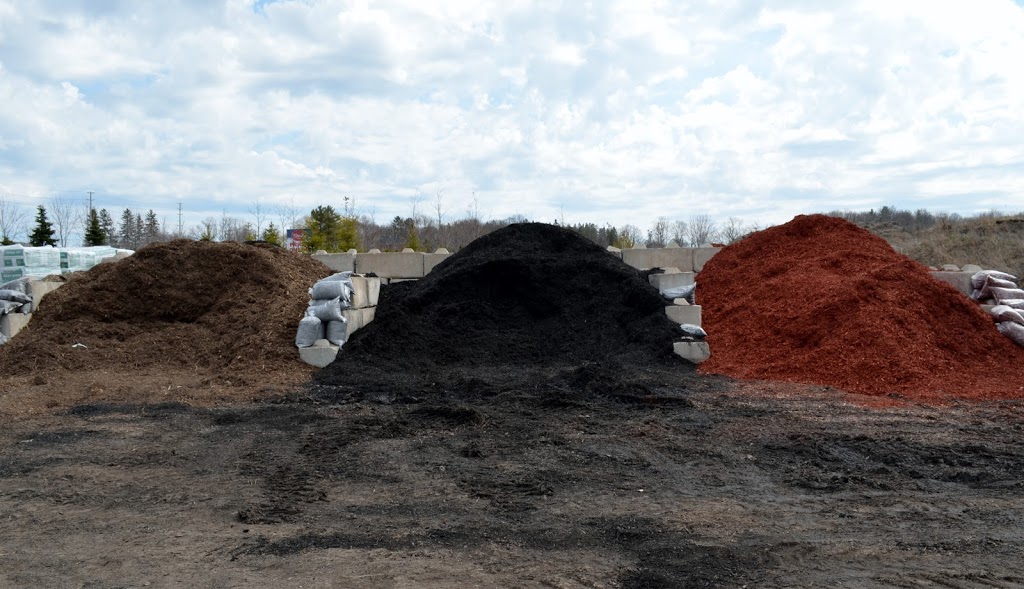 Spring Tree Farm Corporation | 2475 Innisfil Beach Rd, Innisfil, ON L9S 4C1, Canada | Phone: (705) 436-5623