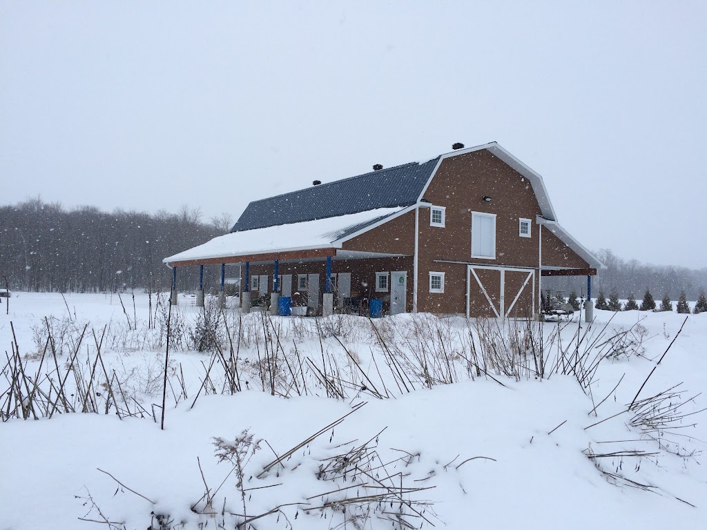 Simple Nature | 2161 Rang des Continuations, Saint-Jacques, QC J0K 2R0, Canada | Phone: (450) 916-5145