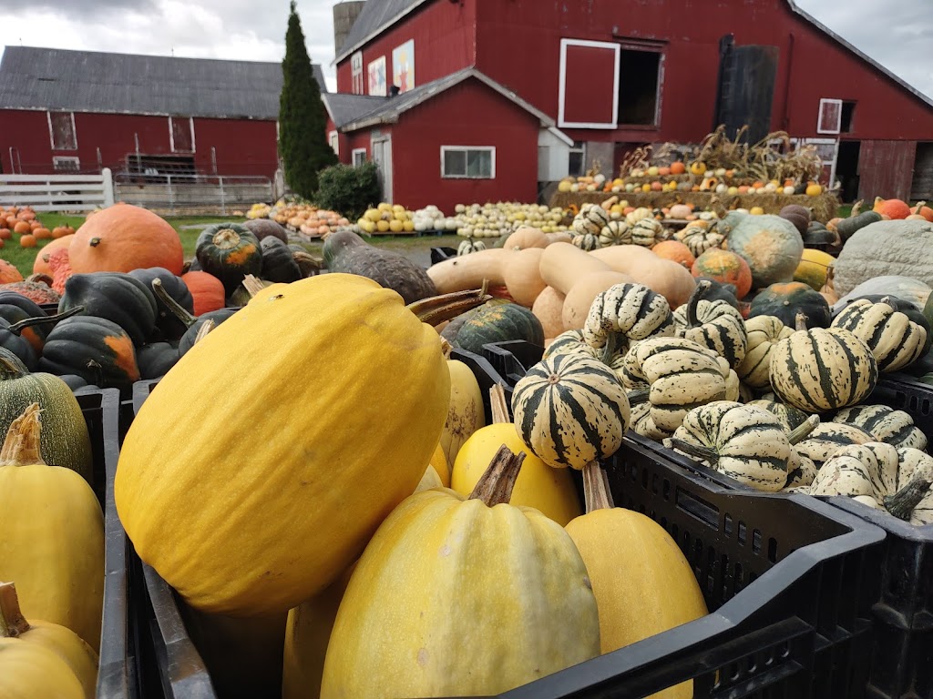 Hagerman Farms | 13644 Loyalist Pkwy, Picton, ON K0K 2T0, Canada | Phone: (613) 476-5362