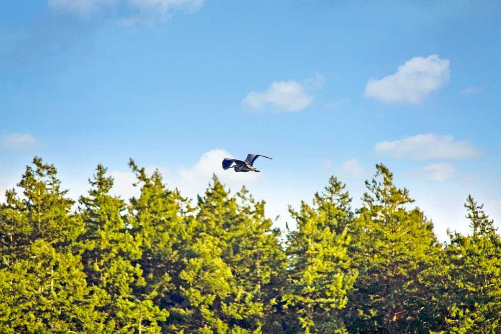 San Juan Property Management | 40 Spring St, Friday Harbor, WA 98250, USA | Phone: (360) 378-2070