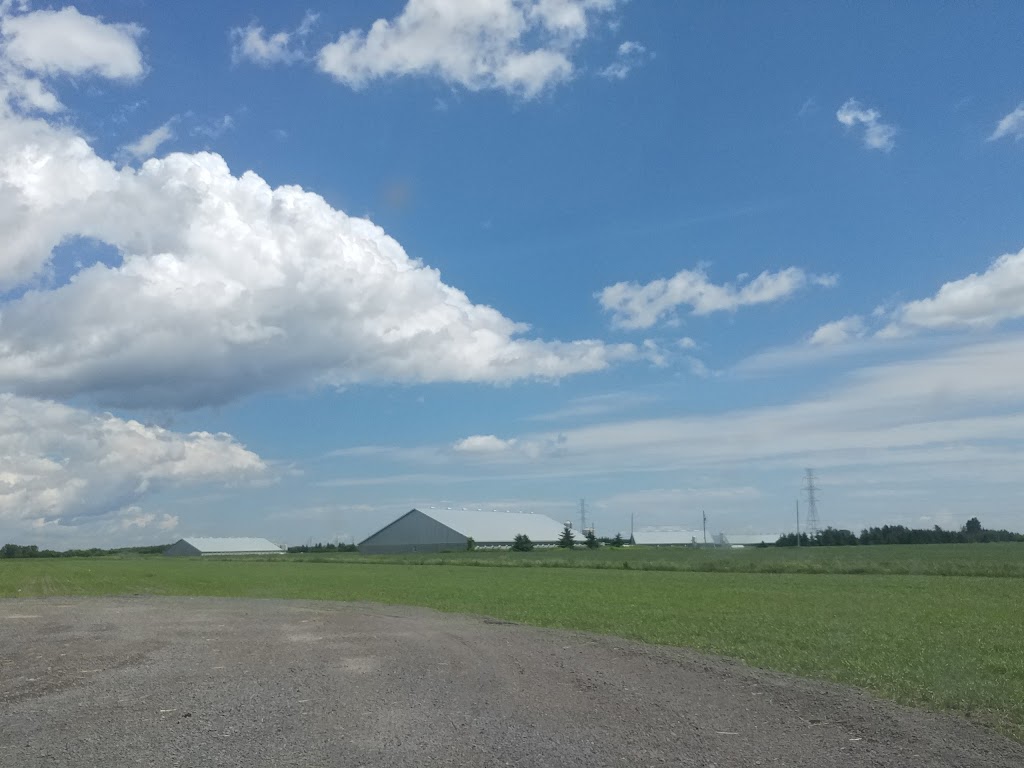 Fermes St-Justin | 210 Rte Gagné, Saint-Justin, QC J0K 2V0, Canada | Phone: (819) 227-1412