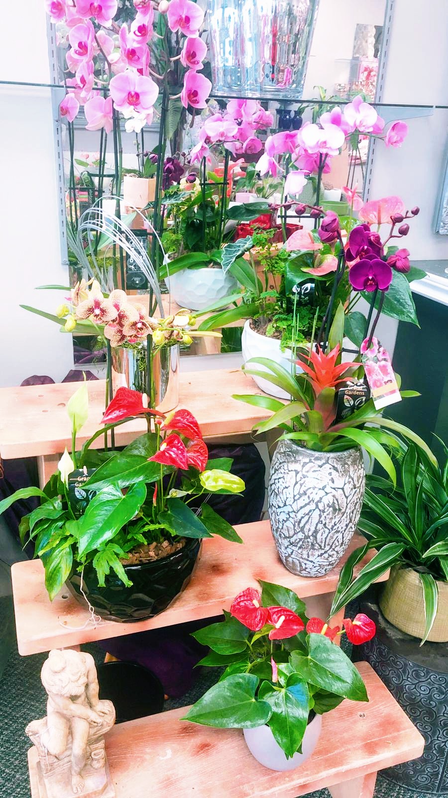 Oakville Florist Shop | 511 Maple Grove Dr #26, Oakville, ON L6J 4W3, Canada | Phone: (905) 849-8885