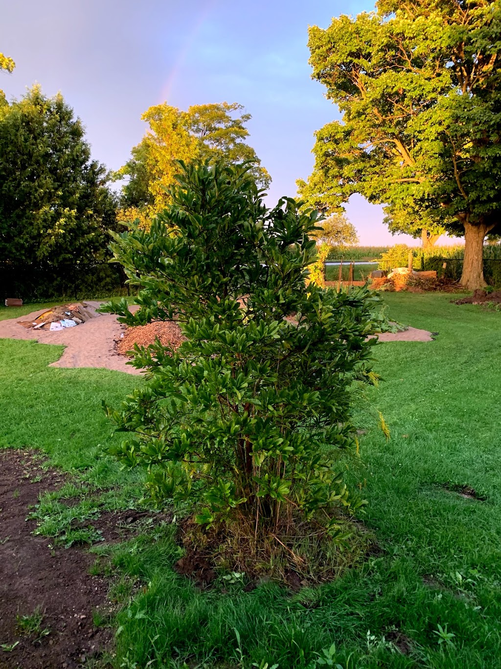Treemendous Tree Sales and Transplanting | 80182 Front Rd, Clinton, ON N0M 1L0, Canada | Phone: (519) 233-3300