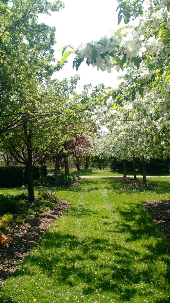 Memorial Park | 69 Elliott St, Brampton, ON L6Y 1W2, Canada