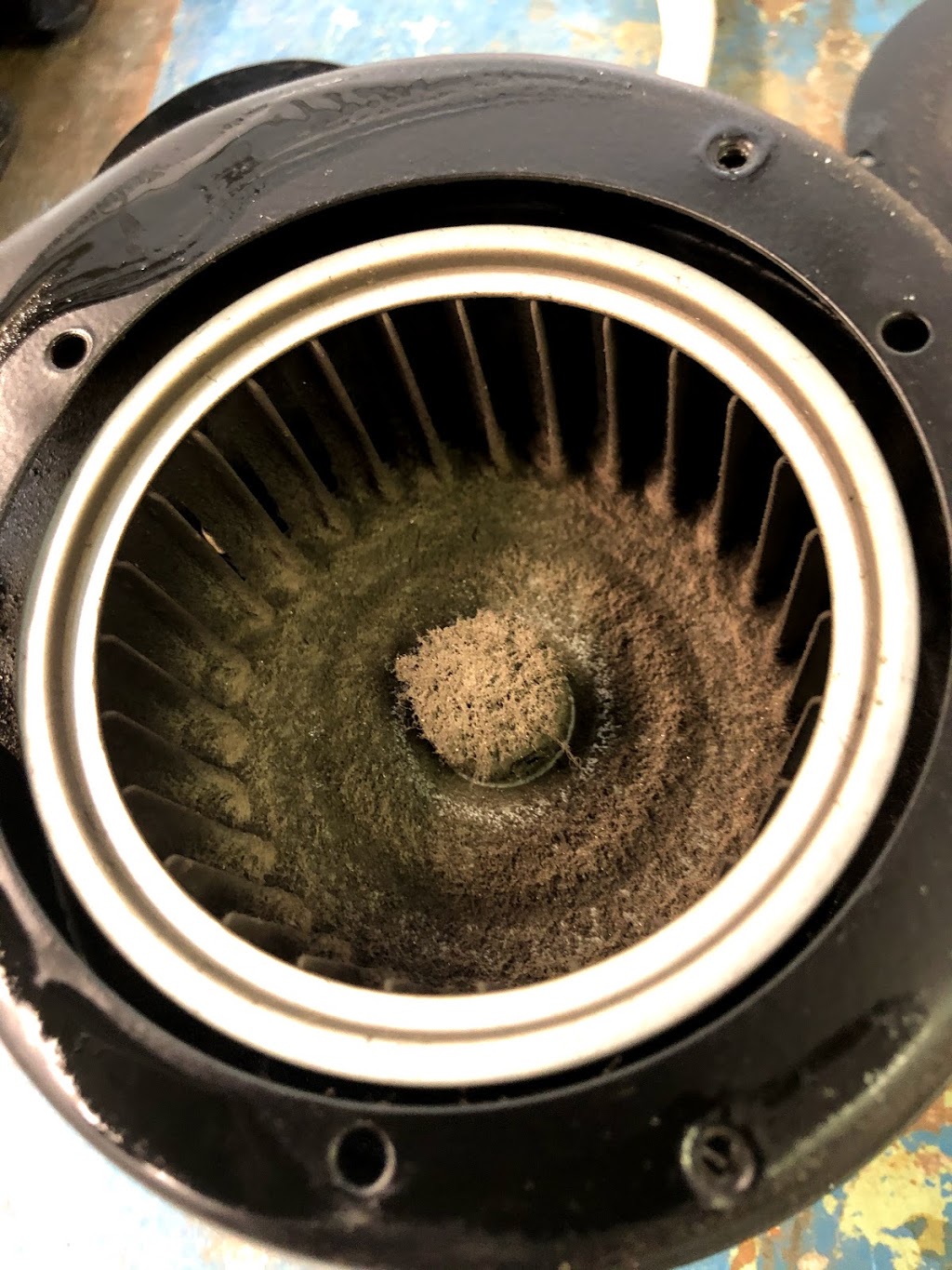 TP Gas Heating And Service | 218 Nicolas Rd, Ridgeway, ON L0S 1N0, Canada | Phone: (905) 932-5077