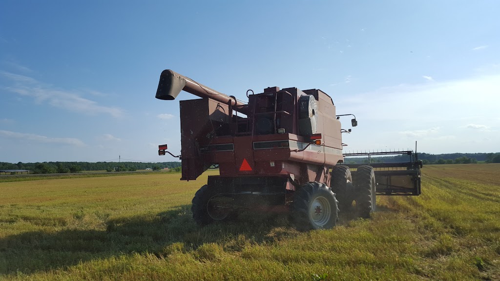 Fermes Longpres Ltee | 1854 Chem. du Fleuve, Les Cèdres, QC J7T 1E4, Canada | Phone: (450) 452-4559