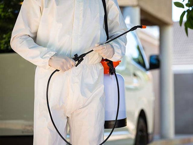 Pest B Gone Inc. | 193 Snowshoe Crescent, Markham, ON L3T 4N1, Canada | Phone: (289) 597-2847