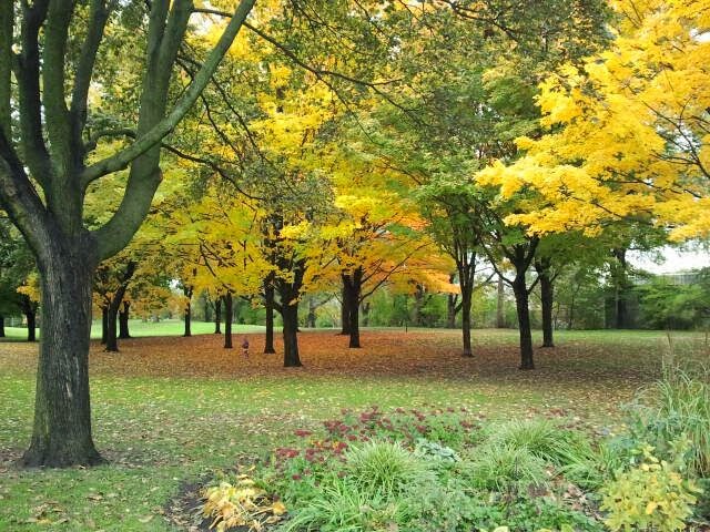 Monarch Park | 115 Felstead Ave, Toronto, ON M4J 1G4, Canada | Phone: (416) 338-4386
