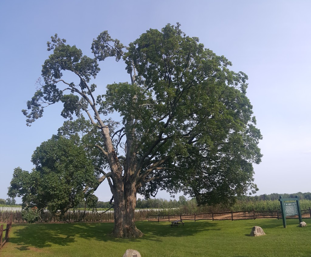 Comfort Maple Conservation Area | 640 Metler Rd, Fenwick, ON L0S 1C0, Canada | Phone: (905) 788-3135