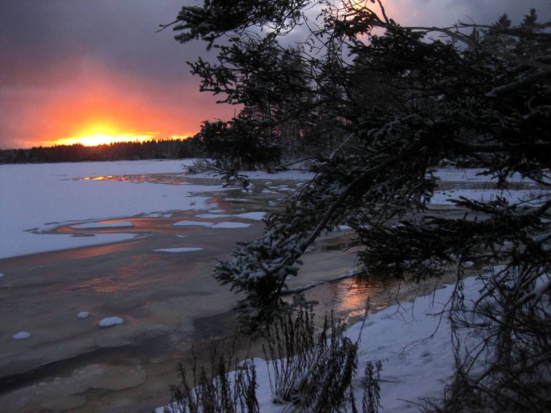 Wild Islands Camping by the Sea | 29379 Nova Scotia Trunk 7, Moser River, NS B0J 2K0, Canada | Phone: (902) 347-2602