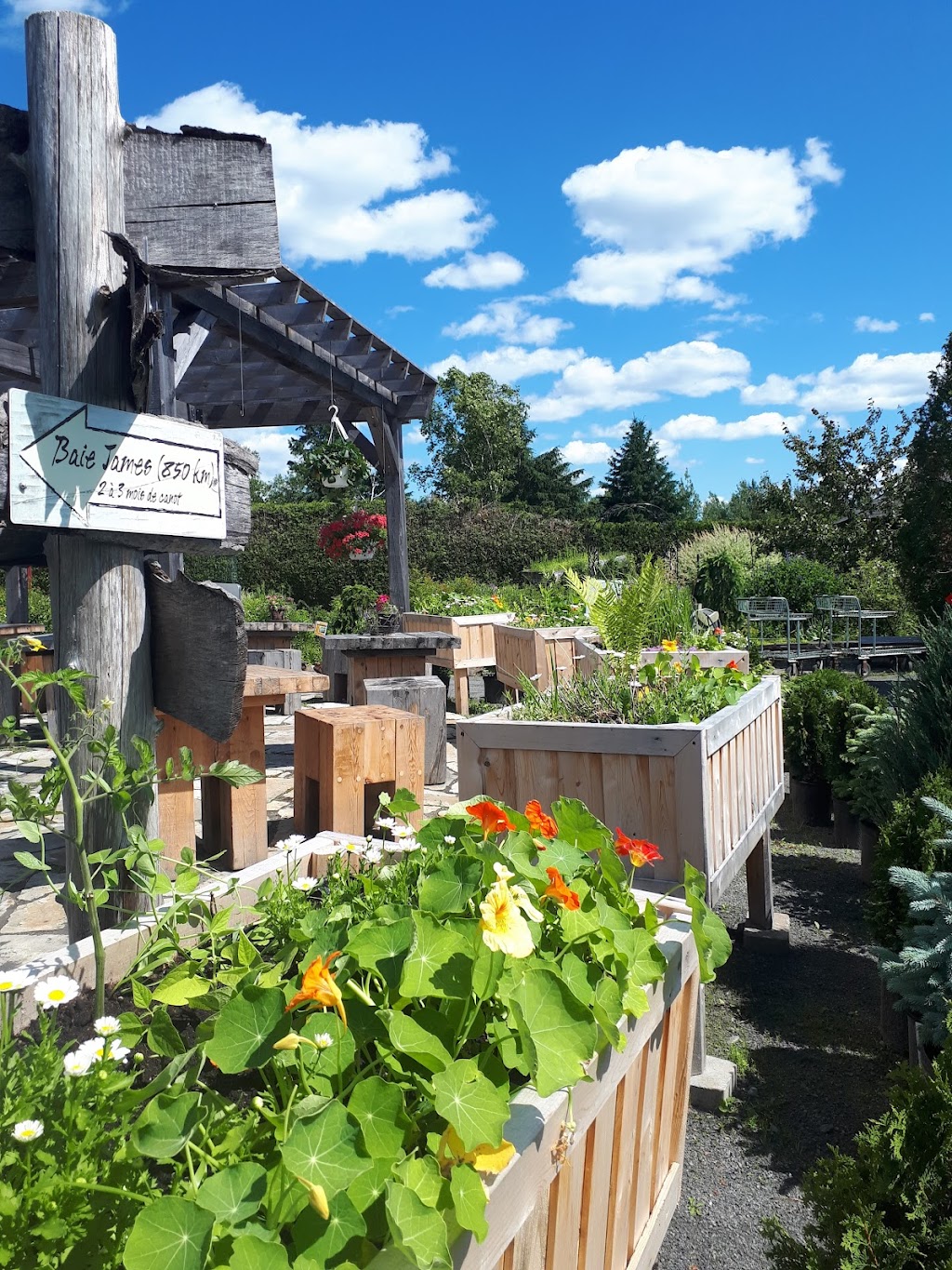 Café-Terrasse Labyrinthe Coureur des bois | 1311 Chemin St Joseph, Saint-Mathieu-du-Parc, QC G0X 1N0, Canada | Phone: (819) 532-2068