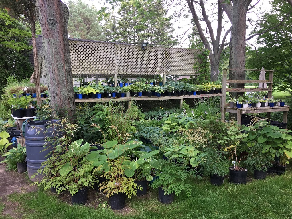 Olde Towne Gardens | 716 Lakeshore Rd, Niagara-on-the-Lake, ON L0S 1J0, Canada | Phone: (905) 937-6758