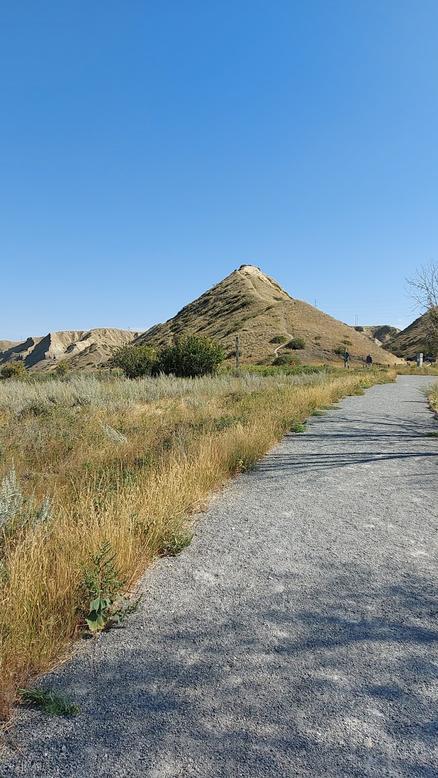 John Martin Recreation Area | 62 Ave N, Lethbridge, AB T1H, Canada | Phone: (403) 320-3111