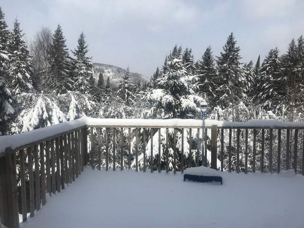 Wildberry Inn | 855 Rue de la Colline, Mont-Tremblant, QC J8E 2P7, Canada | Phone: (819) 429-5596