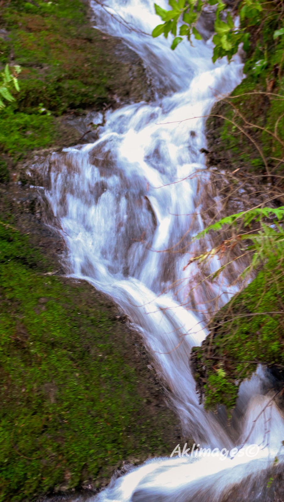 Wittys Lagoon | Metchosin, BC V9C 4H8, Canada | Phone: (250) 478-3344