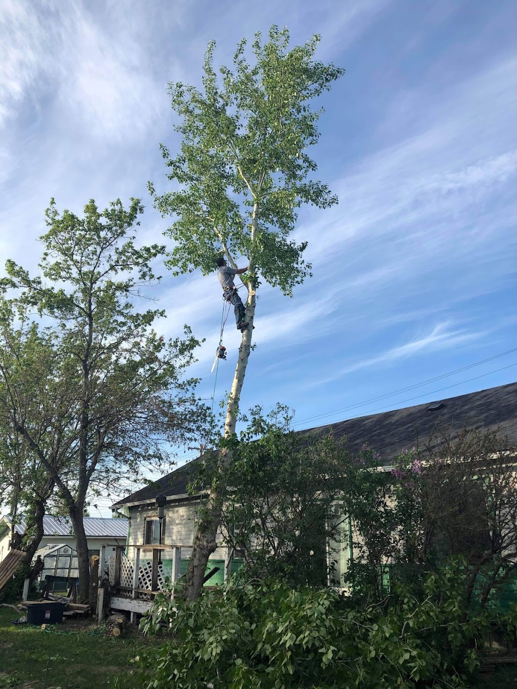 KBG landscaping and tree services | Box 133, 308 7 Ave W, Hanna, AB T0J 1P0, Canada | Phone: (403) 854-1159