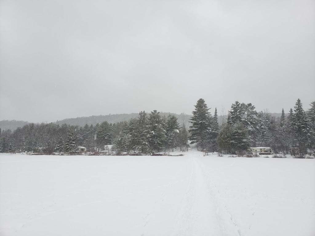 Bancroft Campground | 98 Bird Lake Rd, Bancroft, ON K0L 1C0, Canada | Phone: (613) 334-9957
