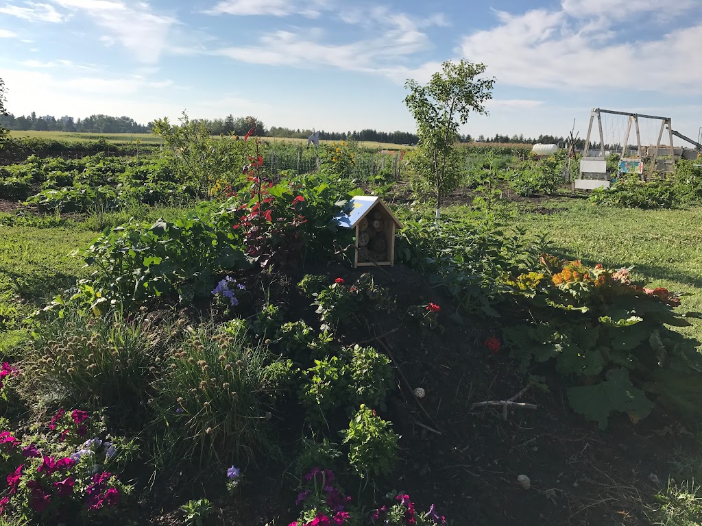 Prairie Urban Farm | 118 St NW, Edmonton, AB T6H 2V8, Canada | Phone: (780) 492-4598