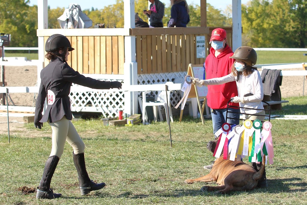 The Hamilton Hunt and Equestrian Sport Club | Brant, 7 County Rd 22, Caledonia, ON N3W 2G9, Canada | Phone: (905) 512-9177