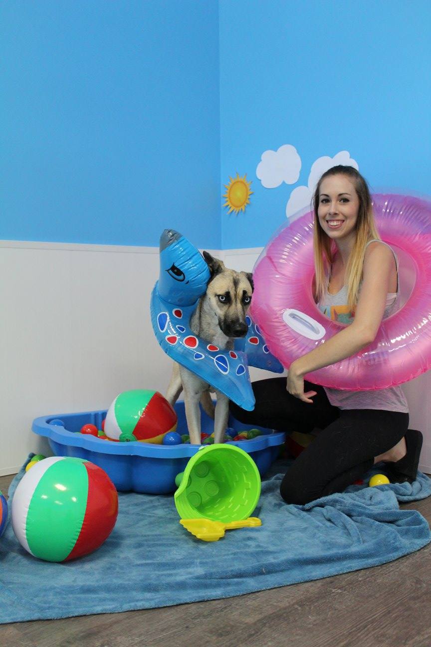 Happy Tails Pet Resort & Spa | 596 St Annes Rd, Winnipeg, MB R2M 3G7, Canada | Phone: (204) 416-7387