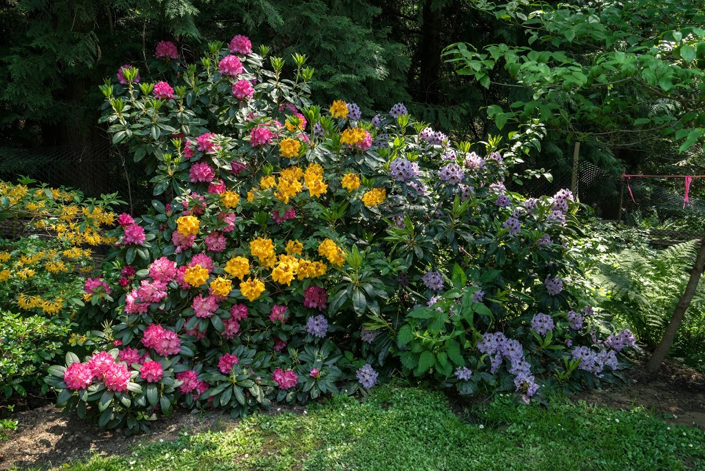 Wheelbarrel Nursery | 2280 South Rd, Gabriola, BC V0R 1X7, Canada | Phone: (250) 247-8728