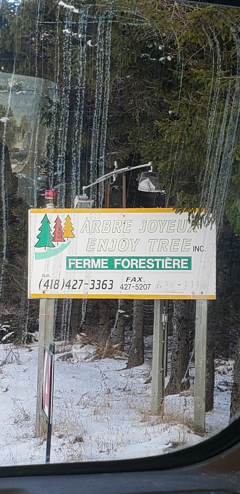 Arbre Joyeux Inc | 1077 Québec 271 N, Sainte-Clotilde-de-Beauce, QC G0N 1C0, Canada | Phone: (418) 427-3363