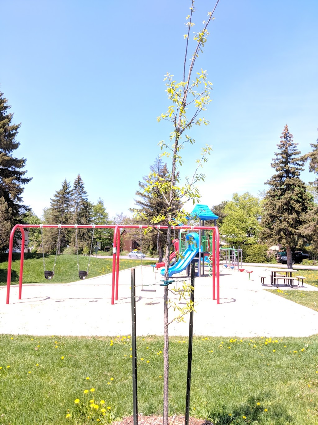 Parc du Tourbillon | 39 Rue Lake, Gatineau, QC J9H 4B4, Canada | Phone: (866) 299-2002