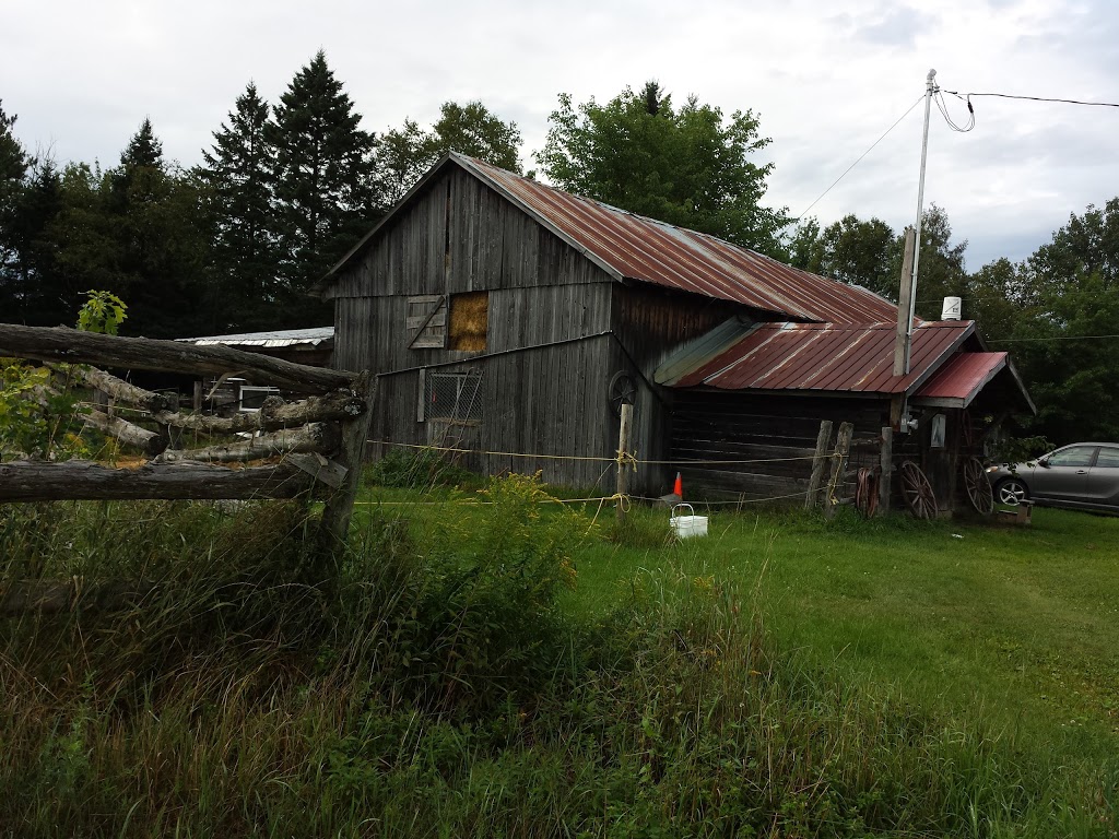 Camping du Lac Blanc Inc | 2300 Chemin du Lac Blanc, Saint-Ubalde, QC G0A 4L0, Canada | Phone: (418) 277-2176