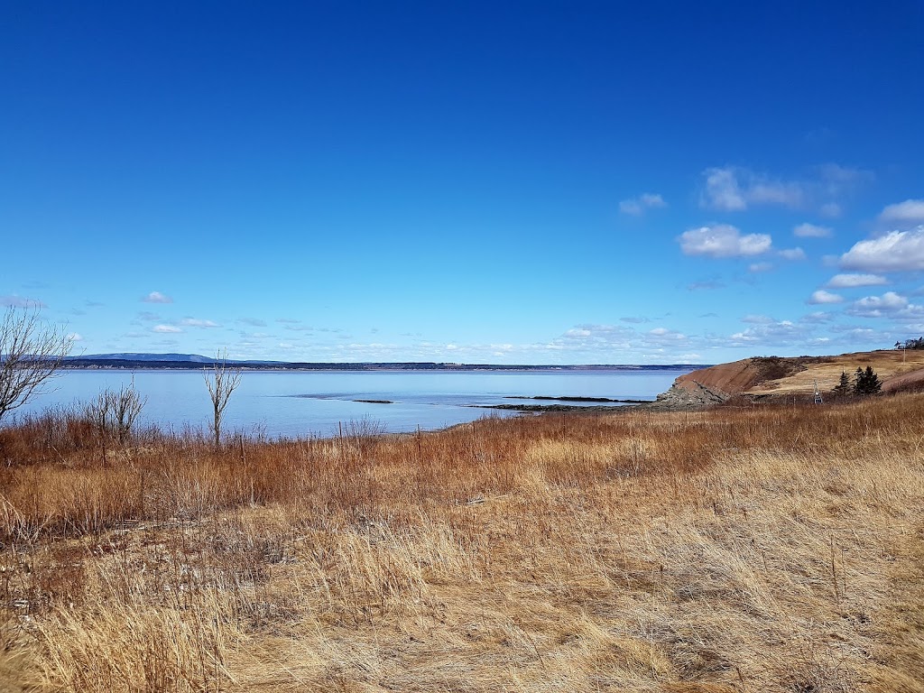 Joggins Fossil Cliffs | 100 Main St, Joggins, NS B0L 1A0, Canada | Phone: (902) 251-2727