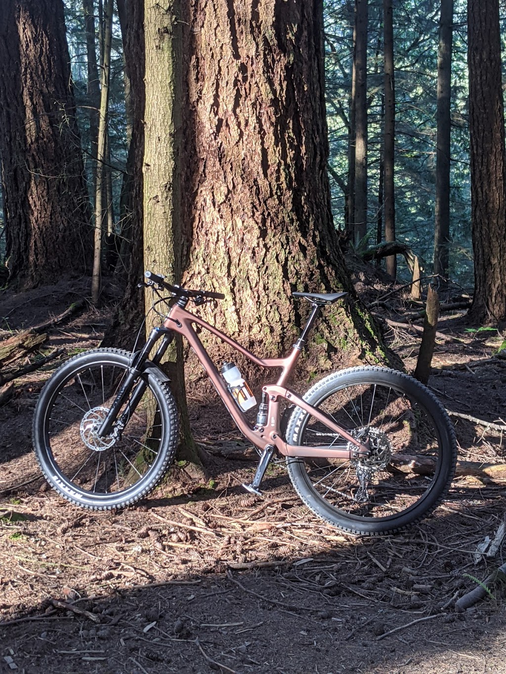 Obsession: E-Bikes | 382 Esplanade E, North Vancouver, BC V7L 1A4, Canada | Phone: (604) 973-1837