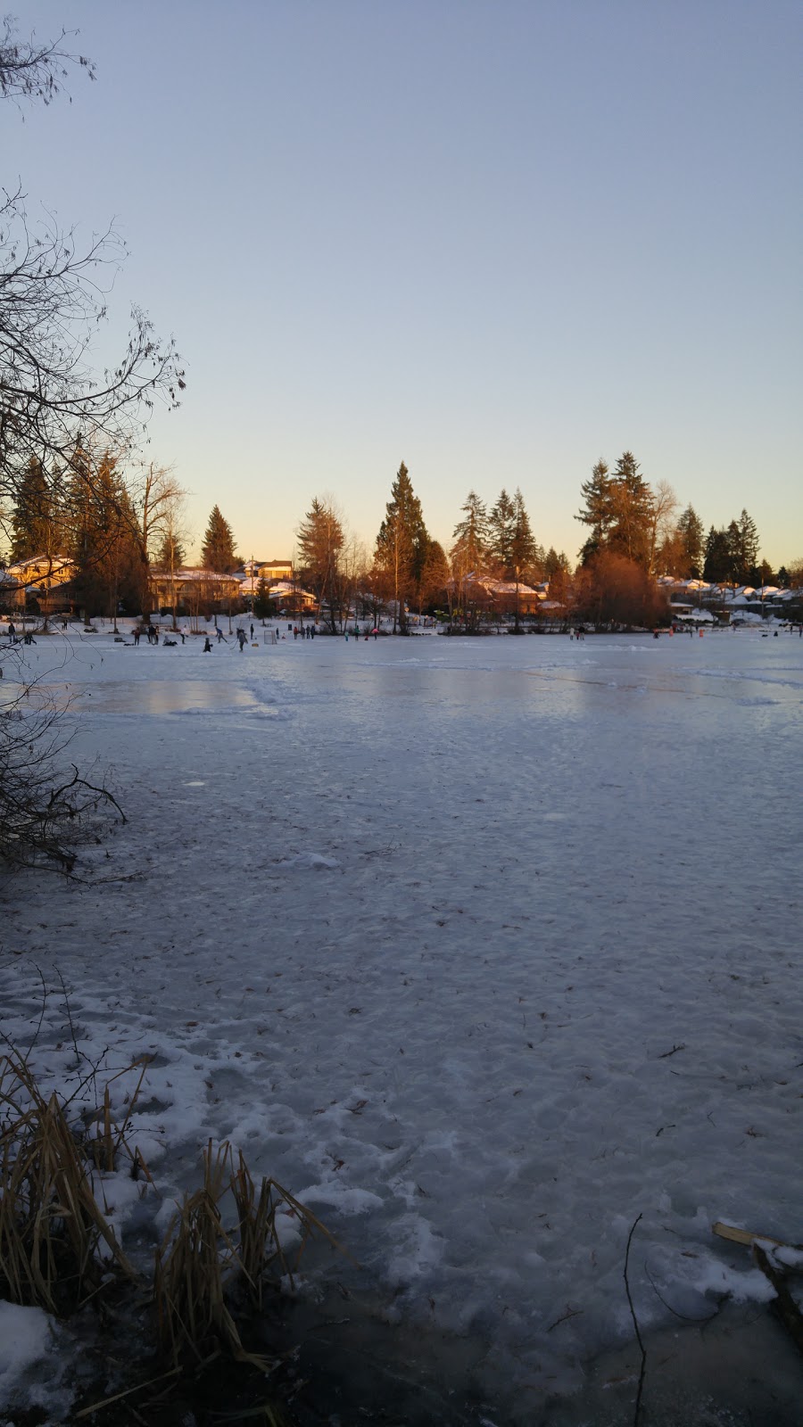 Como Lake Park | 700 Gatensbury St, Coquitlam, BC V3J 5G8, Canada | Phone: (604) 927-3000