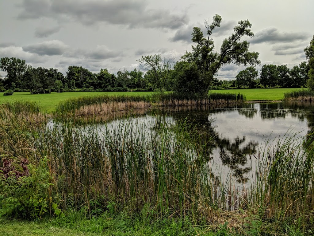 Royalton Ravine Park | Gasport Rd, Gasport, NY 14067, USA | Phone: (716) 439-7951