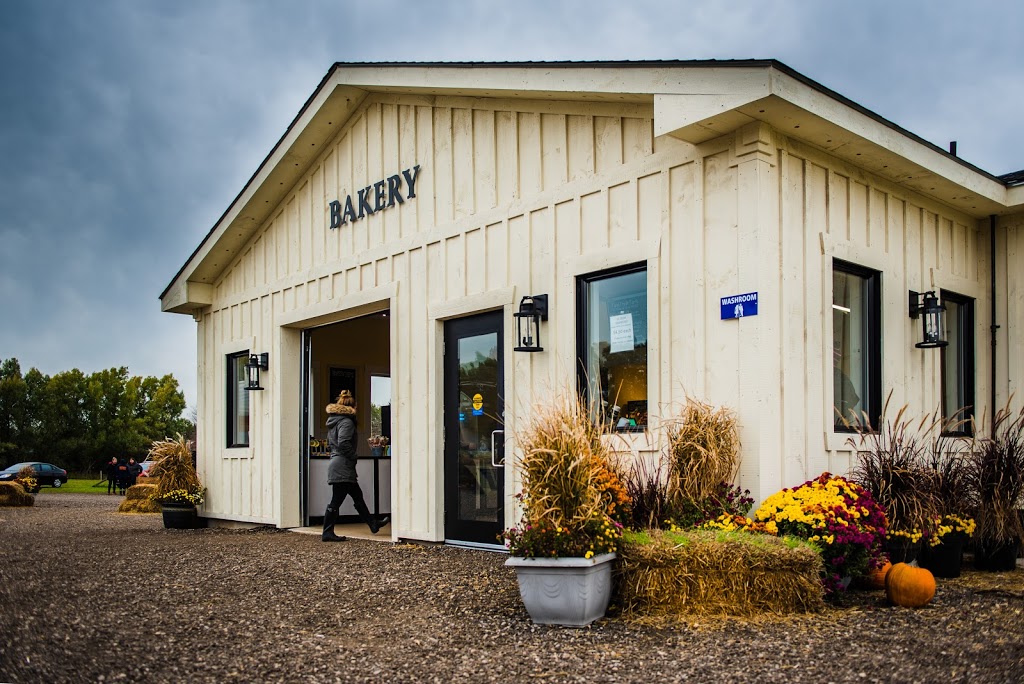 Snyders Family Farm | 936685 Blenheim Rd, Bright, ON N0J 1B0, Canada | Phone: (519) 632-7356