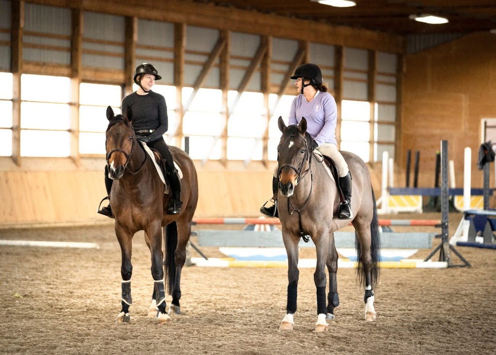 AA Equestrian | 6490 Guelph Line, Burlington, ON L7P 0A9, Canada | Phone: (905) 702-4064