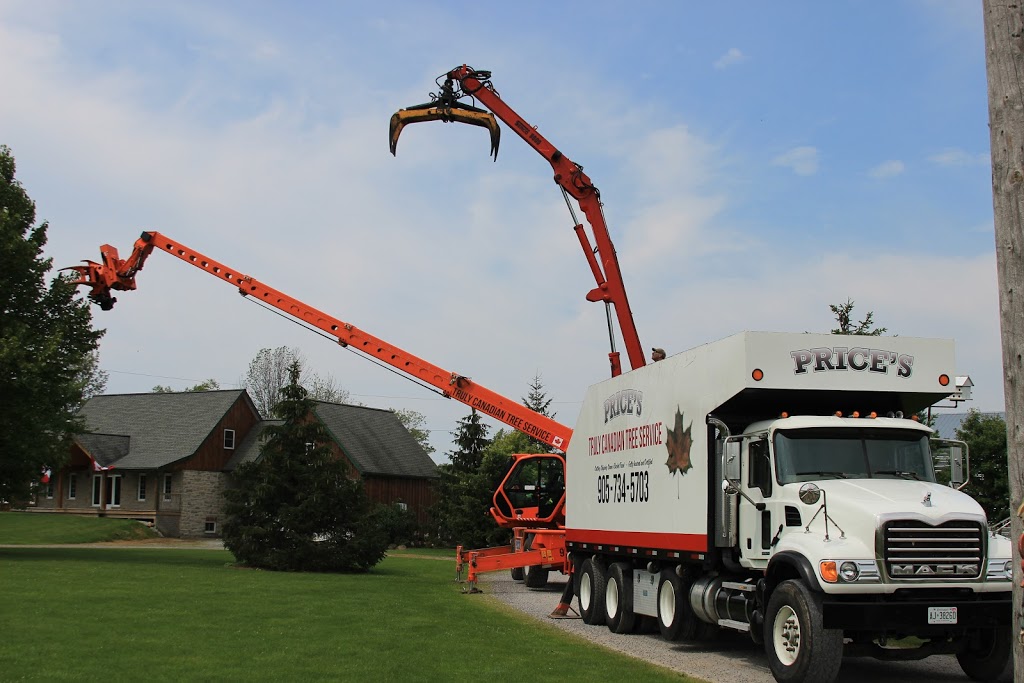 Truly Canadian Tree Service | 12274 Brawn Rd, Wainfleet, ON L0S 1V0, Canada | Phone: (905) 734-5703