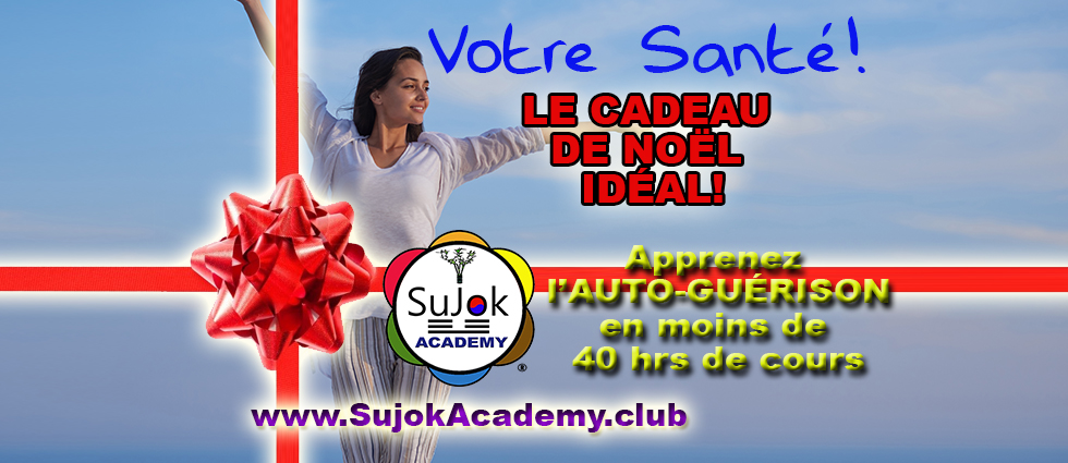 SU JOK Academy of Canada / Académie de SU JOK du Canada | 5919 84 Ave SE, Calgary, AB T2C 4S1, Canada | Phone: (514) 800-8693
