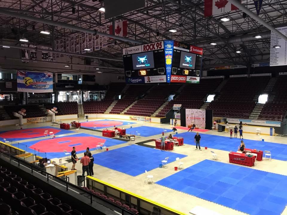 Black Belt World | 883 Bloor St W #202, Toronto, ON M6G 1M4, Canada | Phone: (416) 533-1221