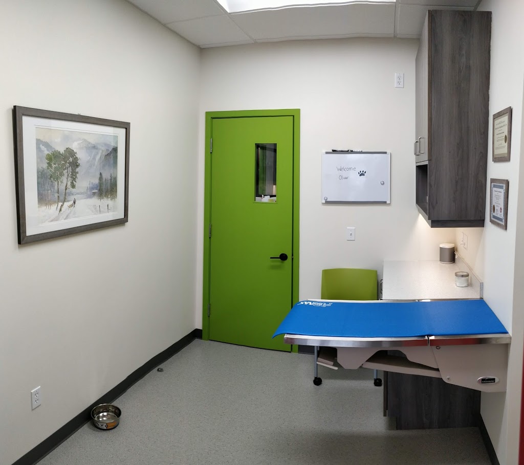 Legacy Veterinary Clinic | 1625 210 Ave SE #106, Calgary, AB T2X 4K8, Canada | Phone: (587) 625-0748