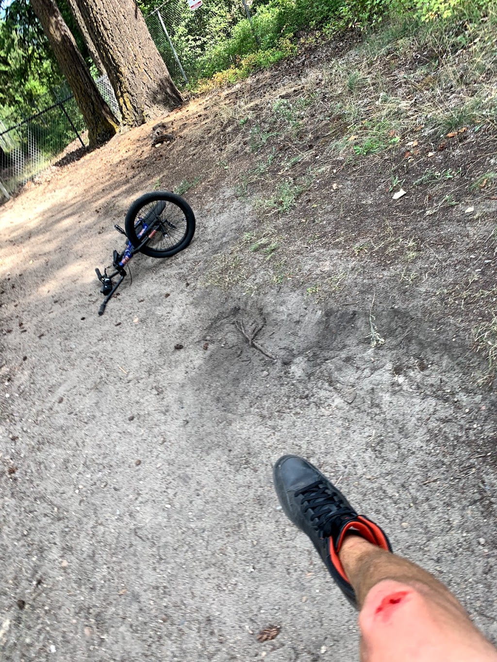 Park Hill Trail System | 6699 Parkhill Rd NE, Salmon Arm, BC V1E 2A9, Canada | Phone: (250) 804-1964