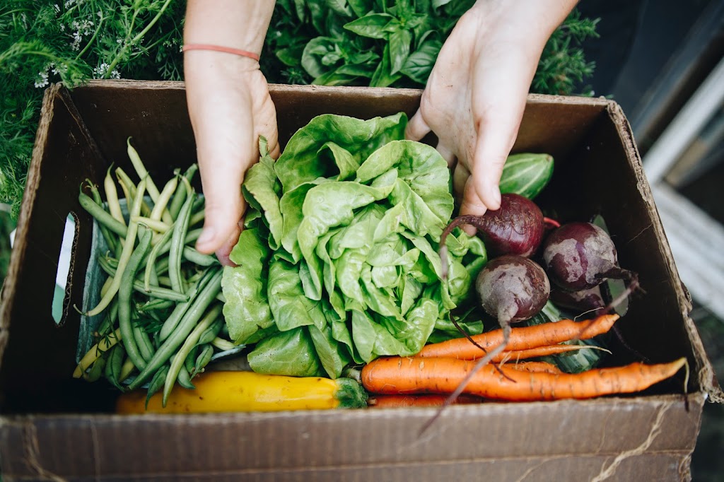 Manorun Organic Farm | 782 Hamilton Regional Rd 52, Lynden, ON L0R 1T0, Canada | Phone: (905) 648-9608