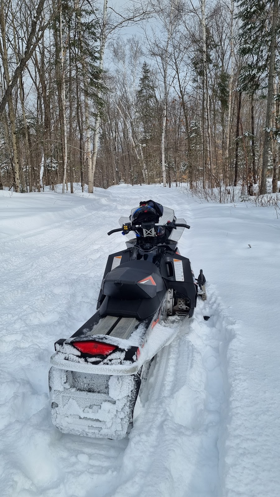 Muskoka Wild | Clearwater Lake Rd, Huntsville, ON P0B 1L0, Canada | Phone: (905) 379-5842